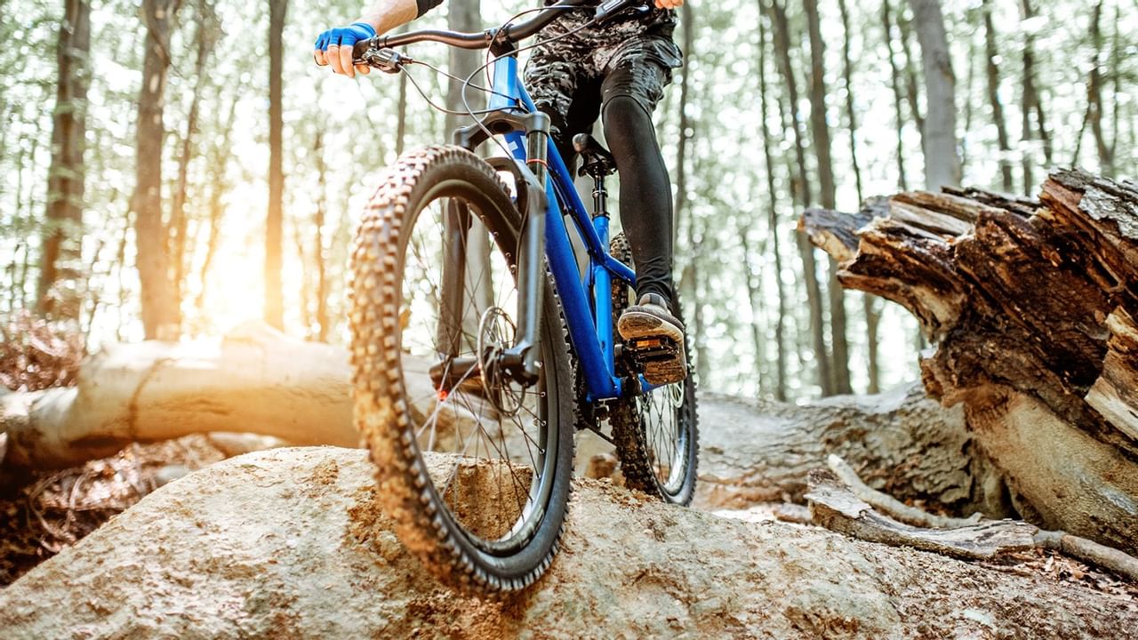 Closeup on a mountain bike at woods near Coast Fort St. John