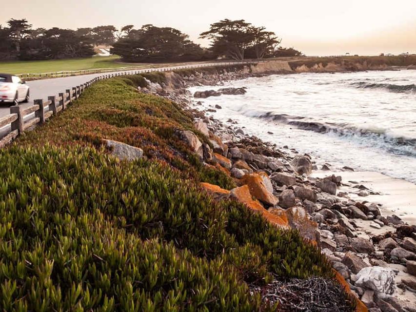 17 Mile Drive