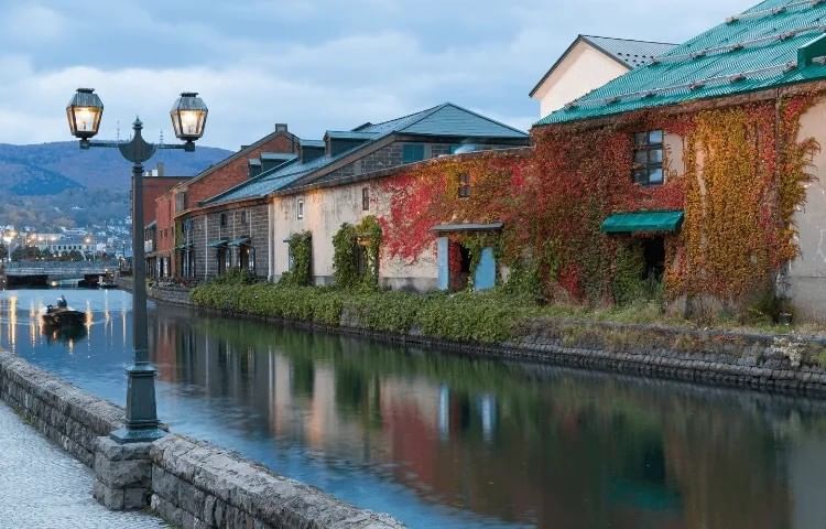Autumn Leaves Fall | Grand Park Otaru