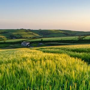 green fields and rolling hills under a clear sky