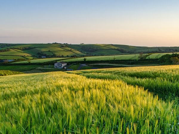 green fields and rolling hills under a clear sky