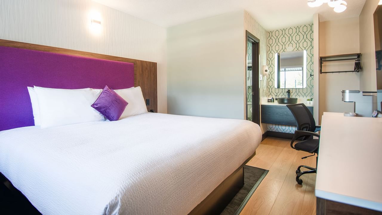 Hotel guest room with a king bed