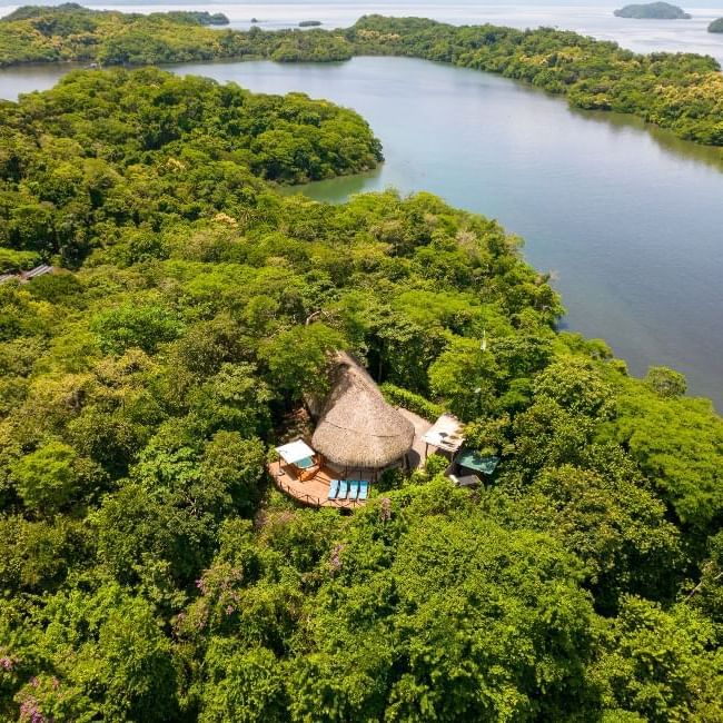 Aerial view of Isla Chiquita Glamping Hotel exterior with lush greenery