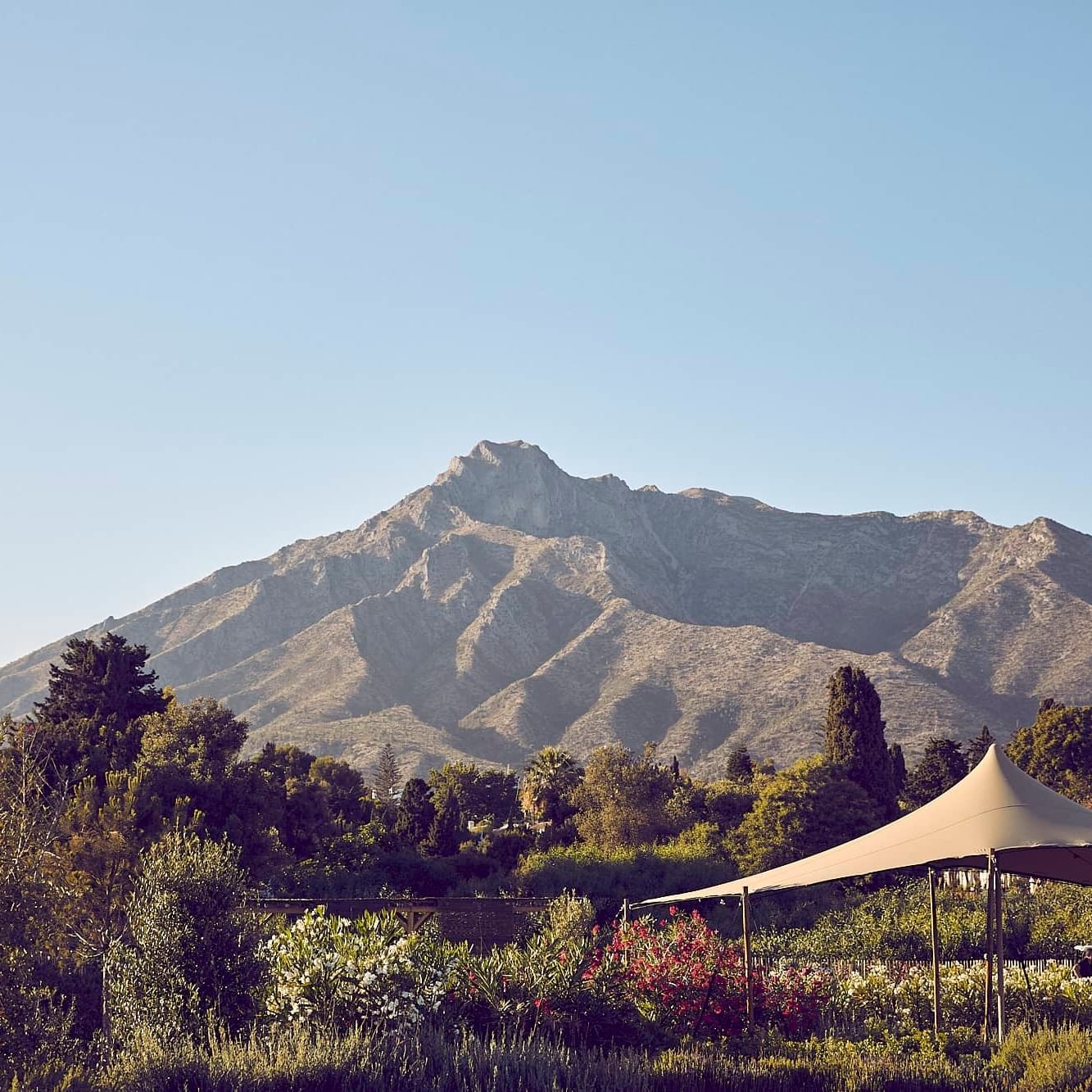 Mountainous landscape with a tent in a garden area for hiking events. View of La Concha mountain in Marbella.