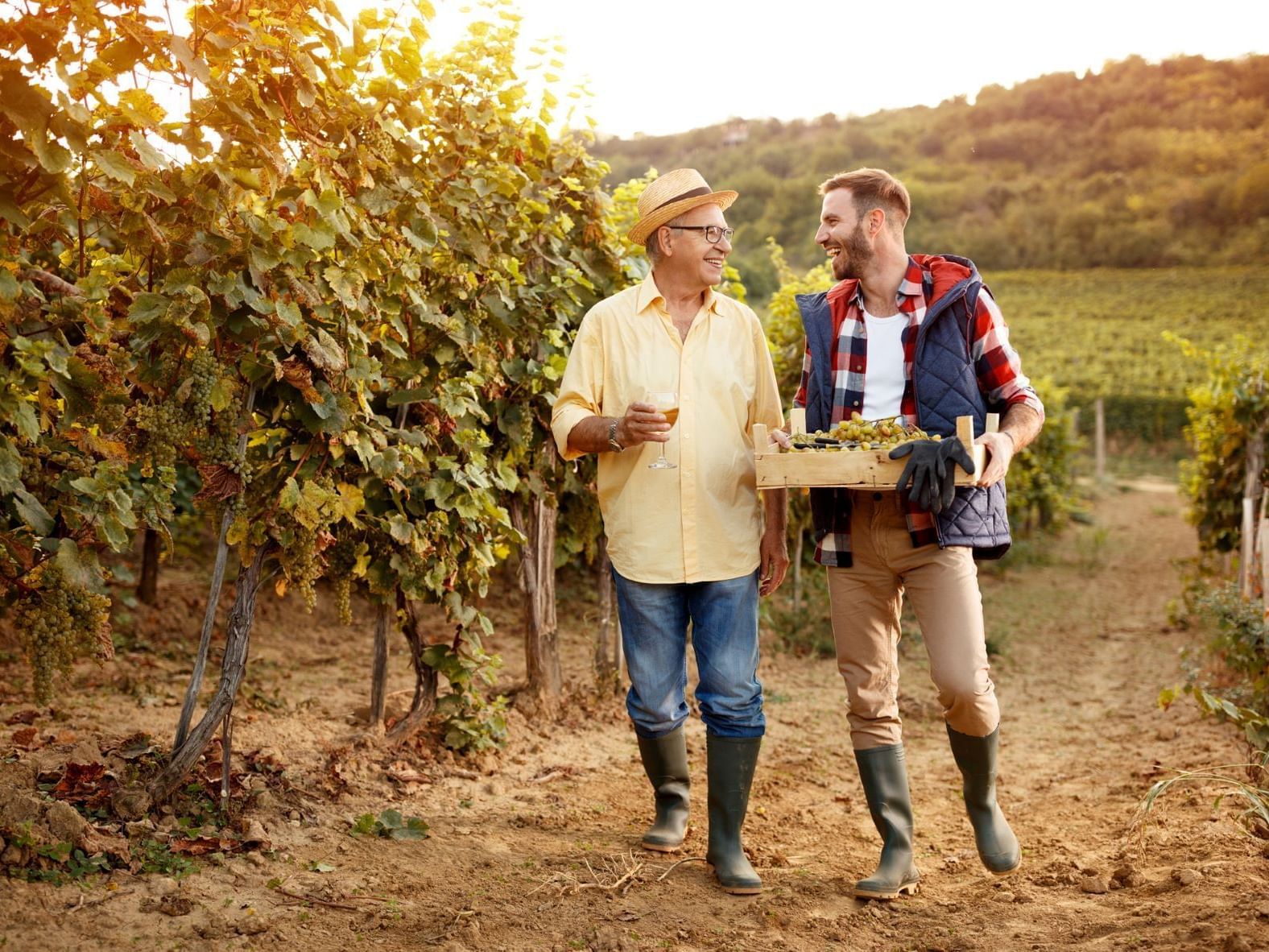 Father and son in Vineyard
