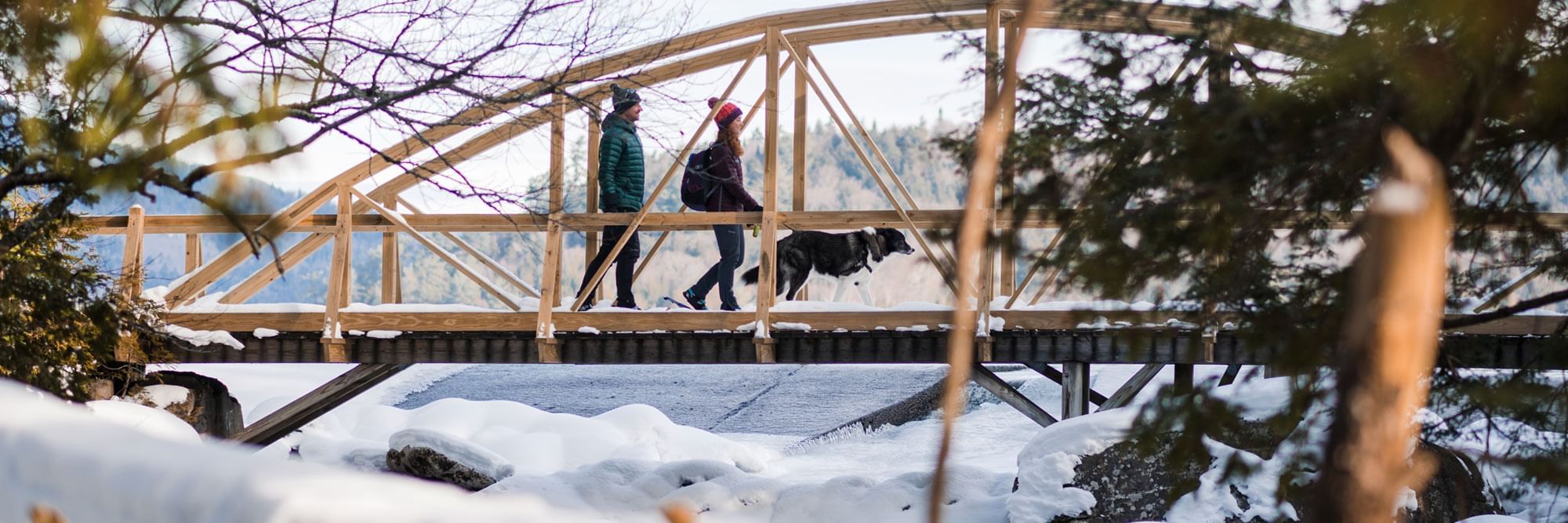 Man and woman snowshoeing over bridge with their dog.