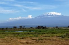 A landscape view of a field near Amboseli Serena Safari Lodge