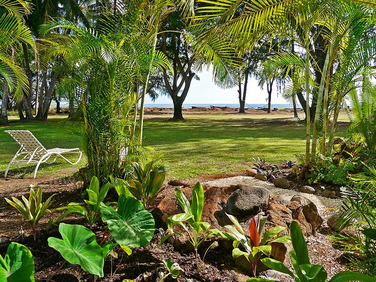 view of the foliage at Waimea Plantation Cottages