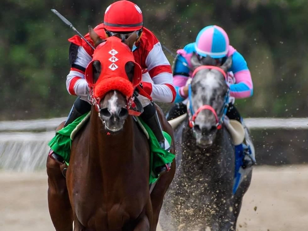 Horse Racing