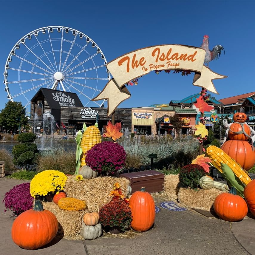 Things to do in November in Pigeon Forge, TN