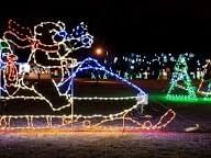 outdoor lights of teddy bear on sleigh