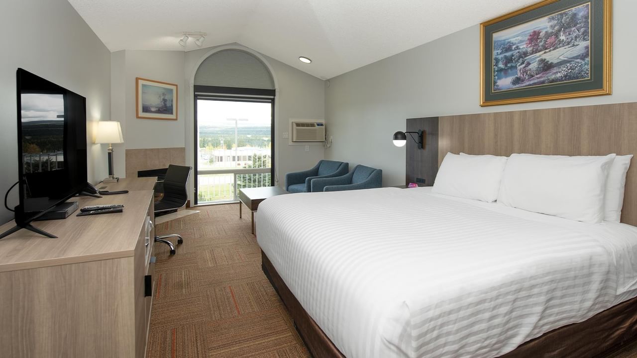 Coast King room with king bed, work desk, blue sofa and arched window.