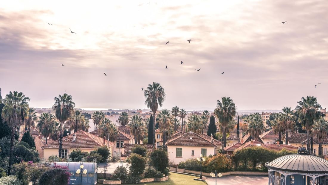 Vue aérienne d'un quartier résidentiel avec des palmiers, des maisons et des oiseaux dans le ciel.