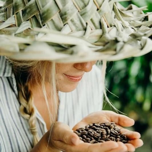 Close-up of a lady holding coffee beans on the hands near Waikiki Resort Hotel by Sono
