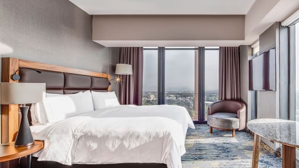 Cityscape View with 1 King Bed in Deluxe Room at FA Hotels