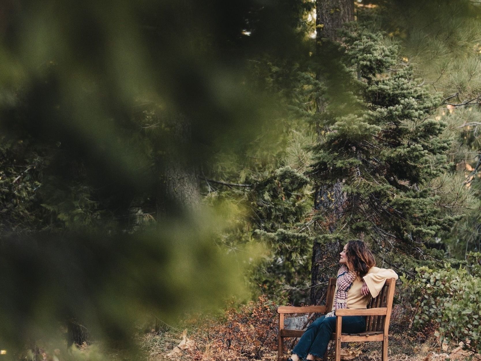 woman sitting on bench in forest at Granlibakken Tahoe