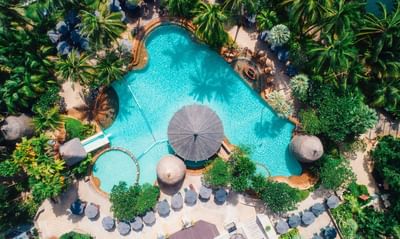 Aerial view of the Swimming pool at Paradox Hotels