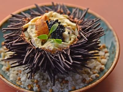 Close-up of a garnished dish served at Cala de Mar