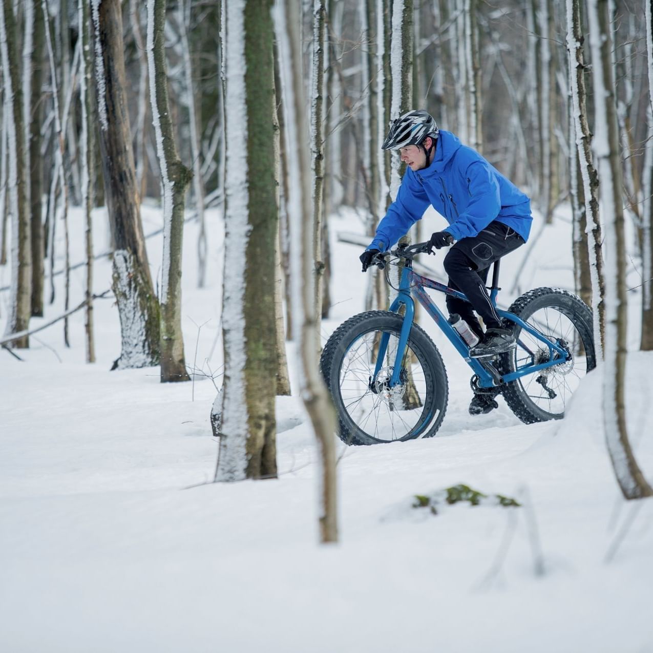 Man riding a bike in the snowy forest near Quartier Des Marinas