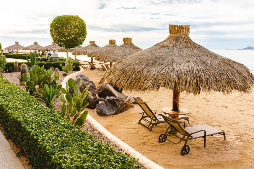 Sunbeds & straw umbrellas on beach near Peñasco del Sol Hotel