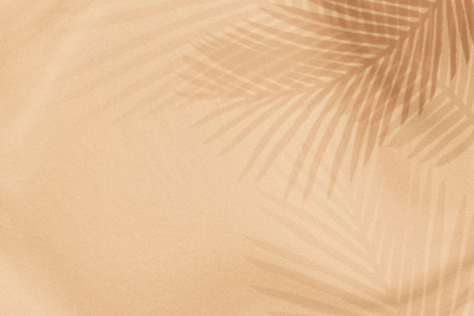 Beige background with shadow of palm leaves