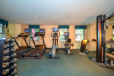 Gym room with three treadmills, stationary bikes, weight rack, and exercise machines.