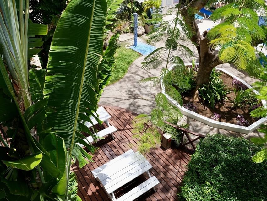 White wooden picnic tables placed on a wooden deck surrounded by lush tropical greenery at Time Out Hotel