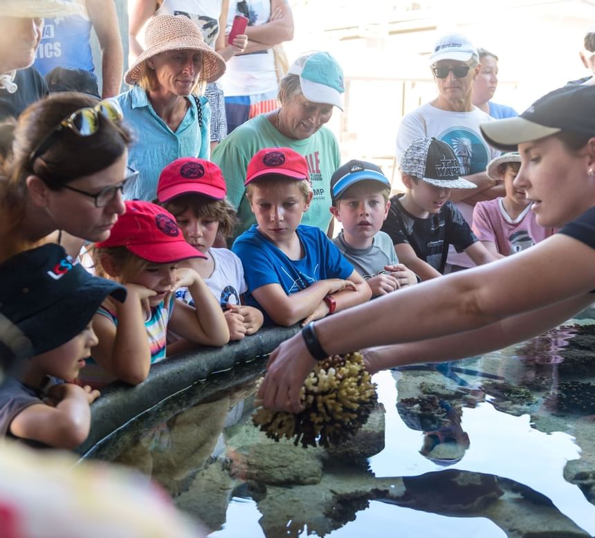 Guide showing corals in Research Station at Heron Island Resort