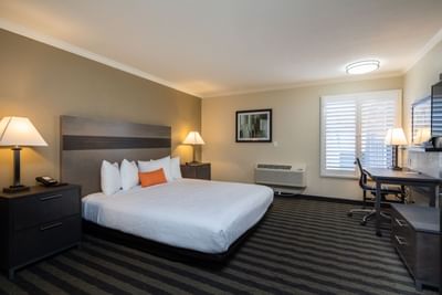 a bed and desk in a hotel room