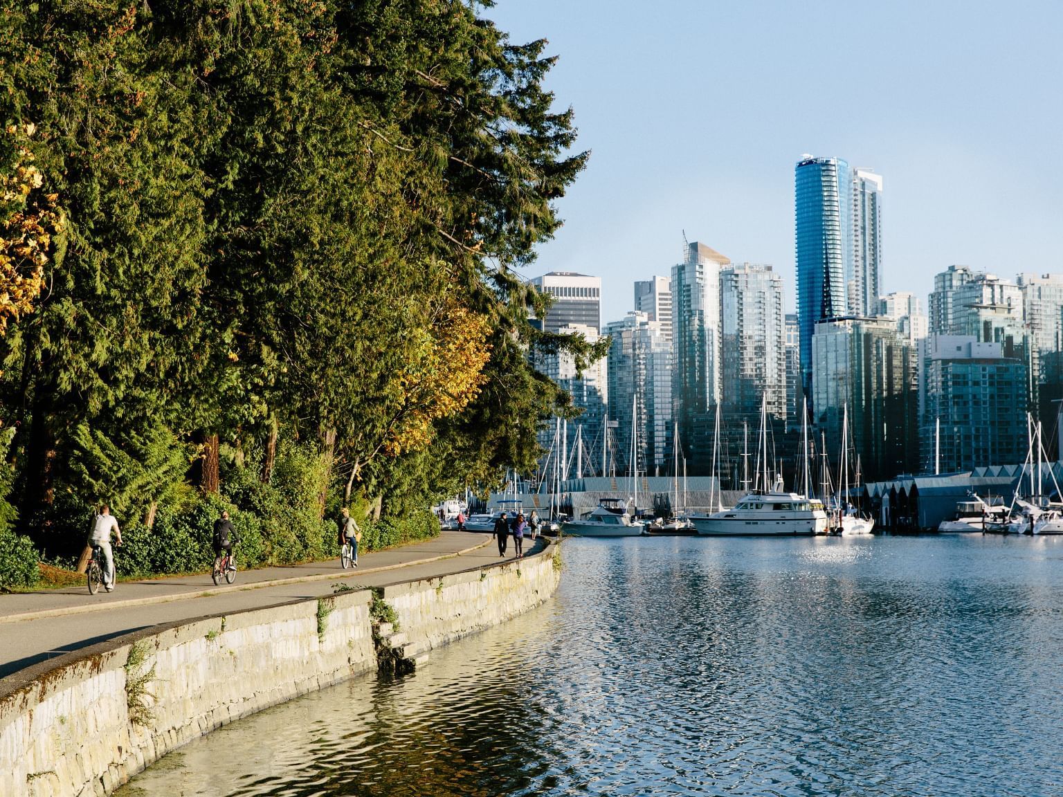 CitySkyline from Seawall - Paradox Building