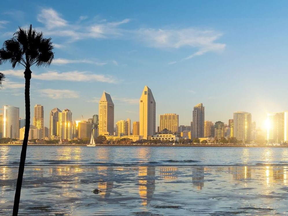 San Diego Skyline