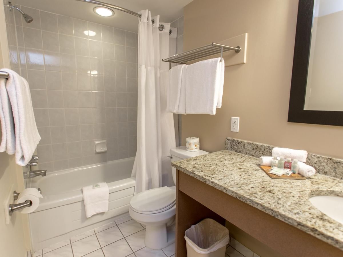 Premium Suite Queen Limited Kitchenette