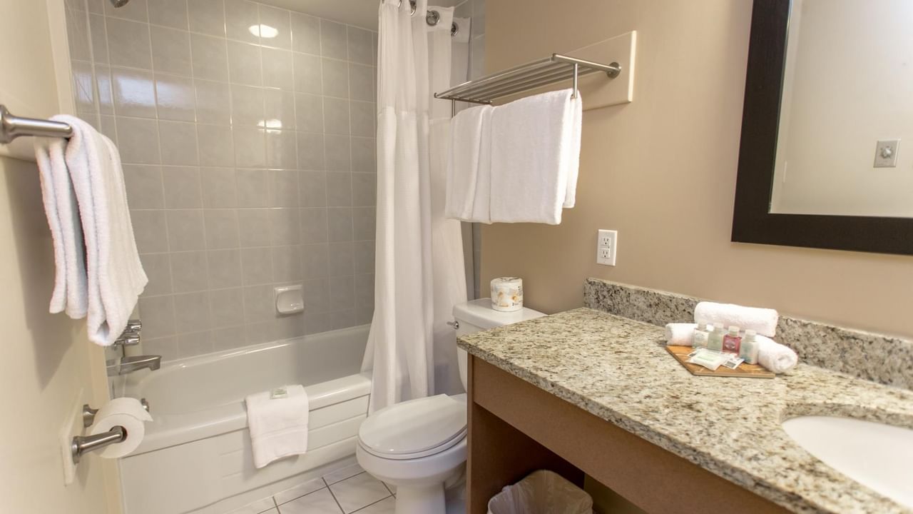 Premium Suite Queen Limited Kitchenette