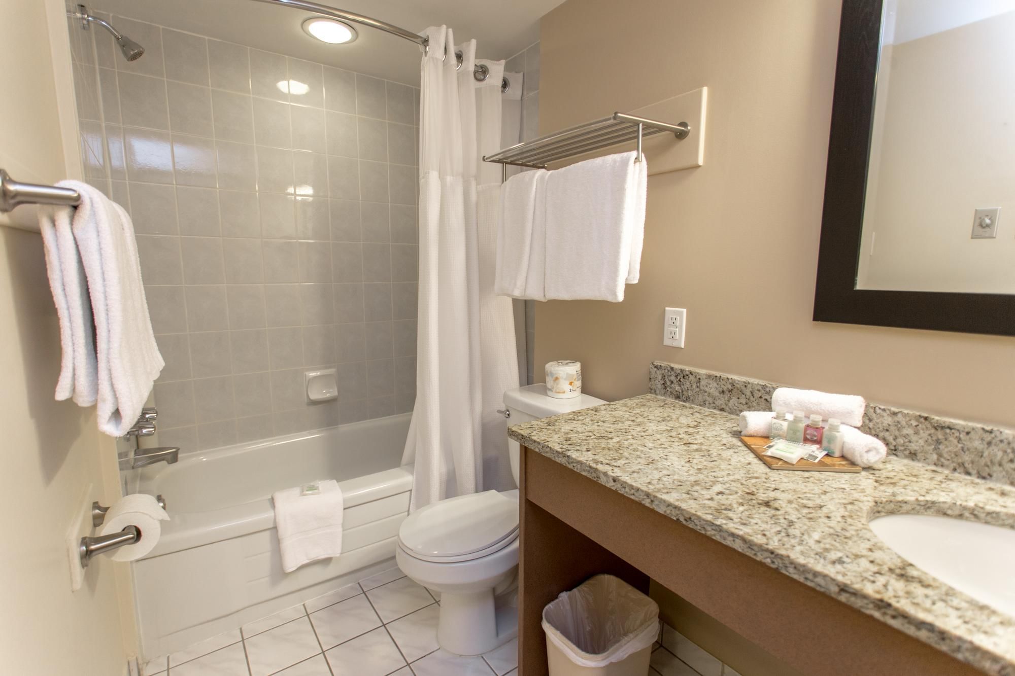 Premium Suite Queen Limited Kitchenette