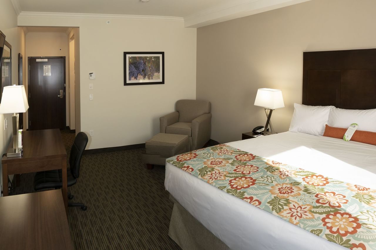 Coast Oliver Hotel - Superior King(1)