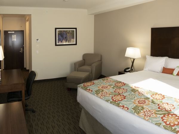 Bed and sofa chair in hotel room