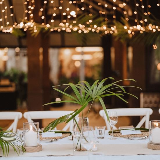 Tropical Poolside Wedding Set up at Pullman Palm Cove Resort