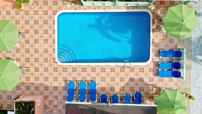 Top view of a rectangular blue swimming pool with green umbrellas and blue sun loungers at Worthing Court Apartment