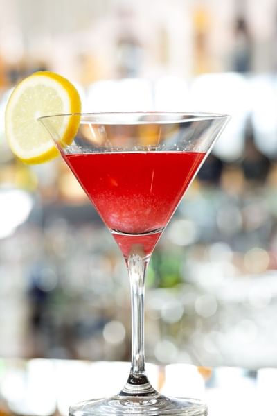 Cocktail at Zijin Hotel Belgrade
