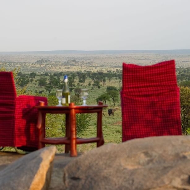 Two chairs with a view of nature at Mbuzi Mawe Serena Camp
