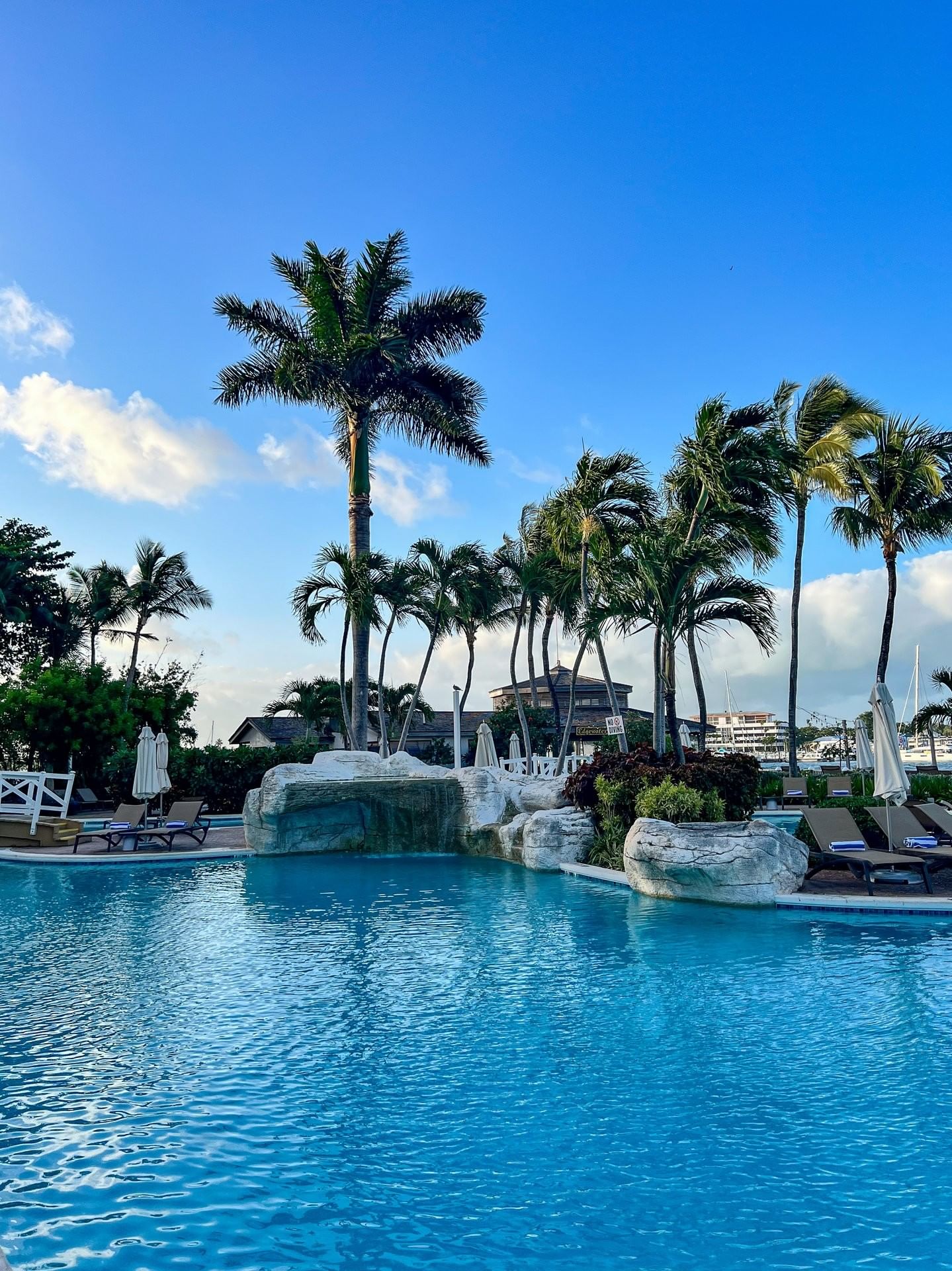 Services & Amenities