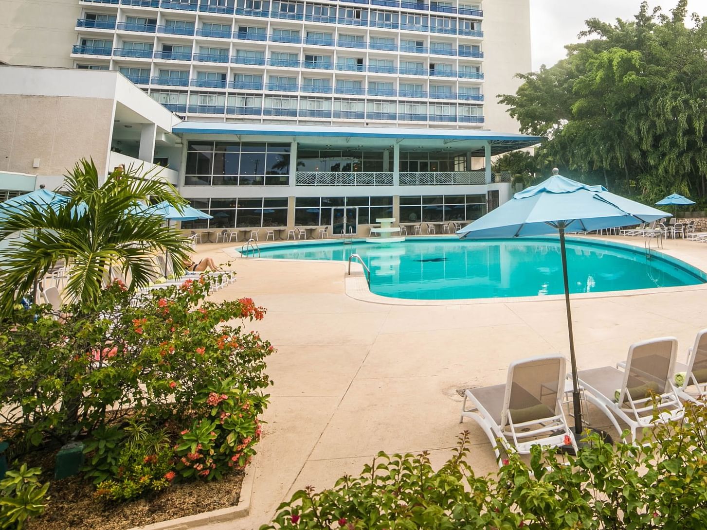 pegasus hotel jamaica reviews