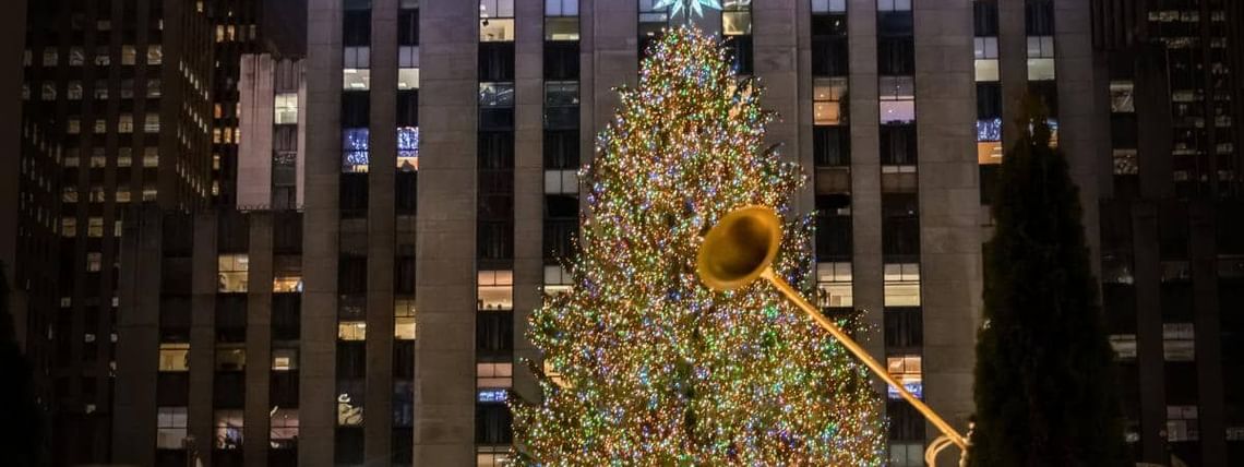 The Best Christmas Trees in New York City