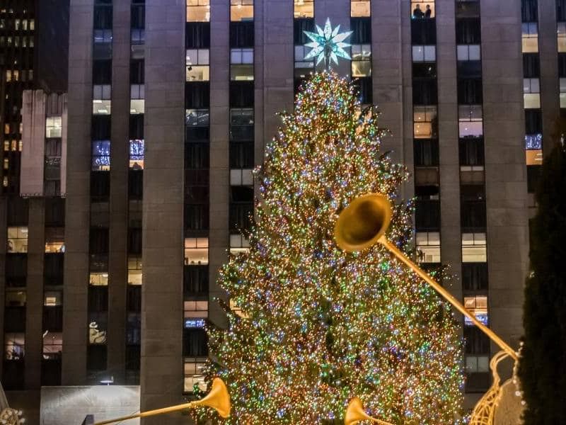 The Best Christmas Trees in New York City