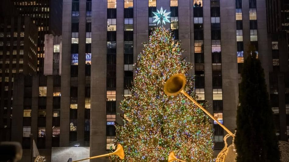 The Best Christmas Trees in New York City