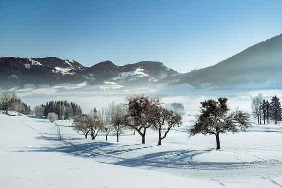 Winterlandschaft im Schloss Pichlarn
