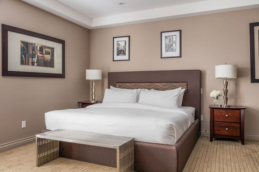 king bed in cozy den suite with stainless bench at foot of bed