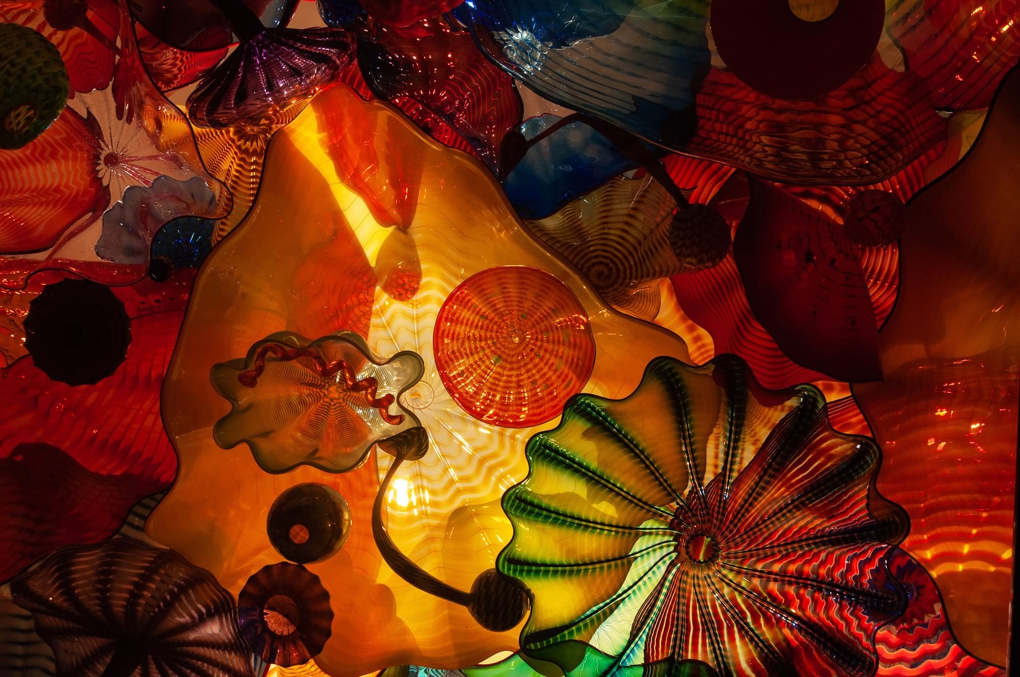 Vibrant glass sculptures featuring orange and green wavy patterns under bright lights at Warwick Seattle