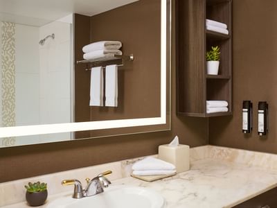 bathroom in guest rooms with large mirror, towel rack, wooden shelf, sink, potted plant, and tissue box.
