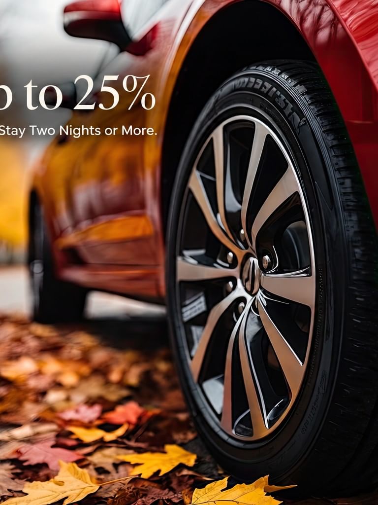 Red Luxury Car with Autumn leaves on the road